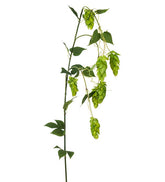 Kunstig Humle Naturtro dekorationsgren